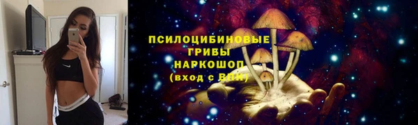 apvp Михайловка