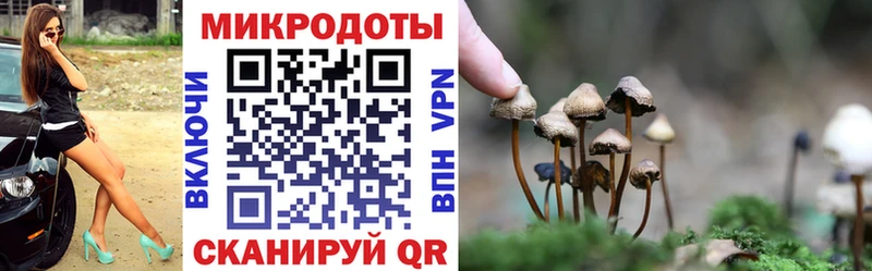 Галлюциногенные грибы мицелий  Тогучин 